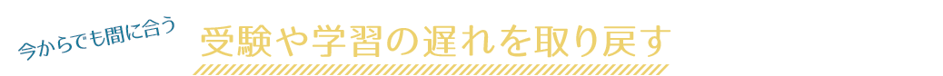 受験や学習の遅れを取り戻すなら、マナビス!