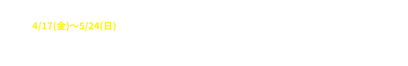 期間限定 入会特典 CTA02