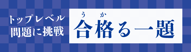 トップレベル問題に挑戦　合格る一題（うかる一題）