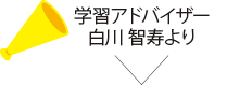 アドバイザー 白川 智寿